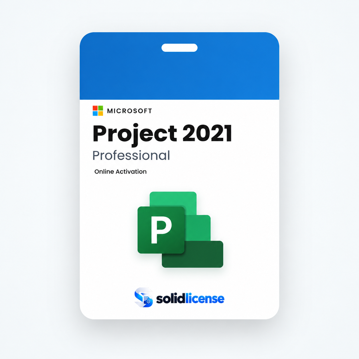 Project 2021 Professional license from SolidLicense